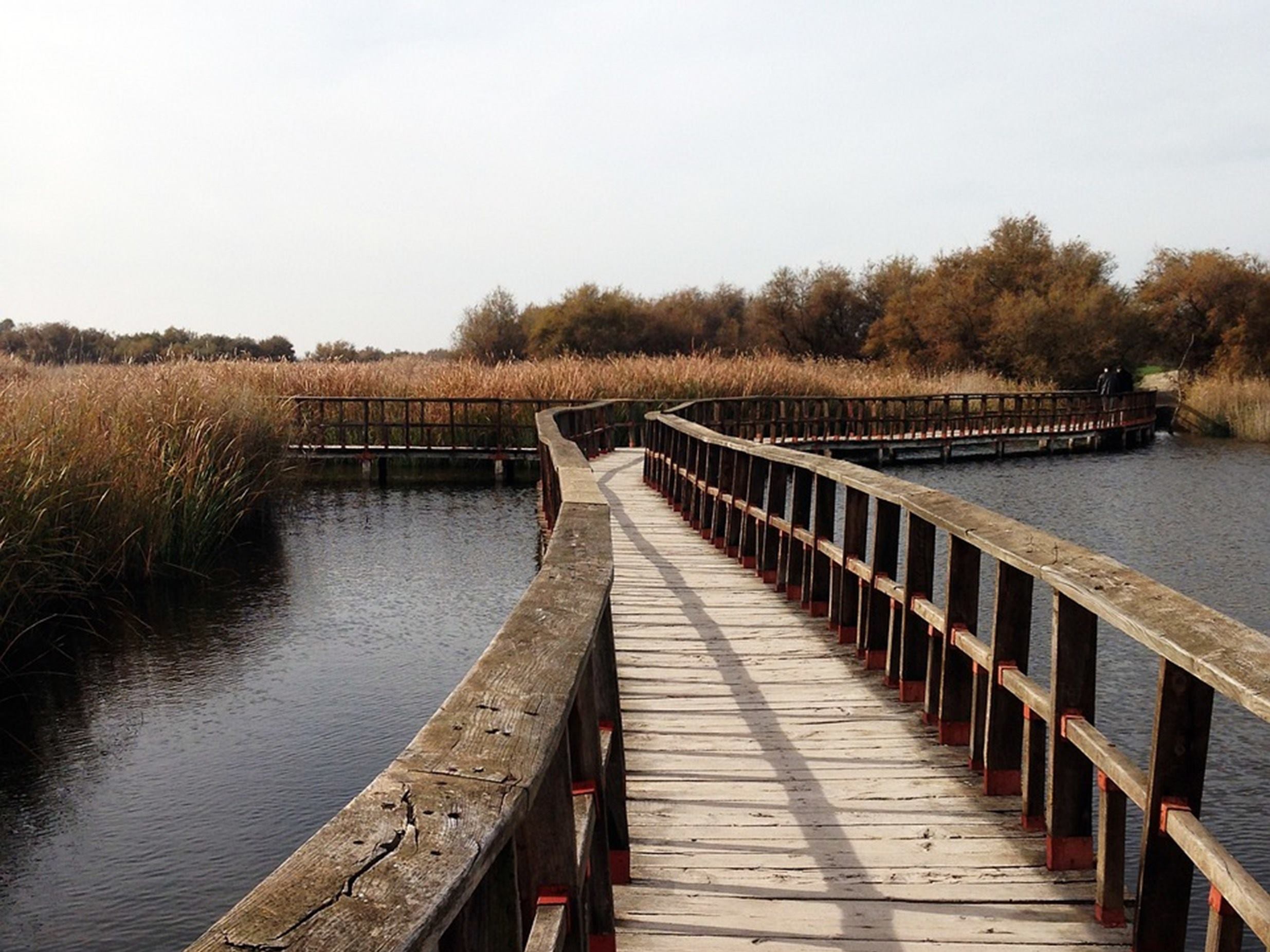 parque-nacional-tablas-daimiel